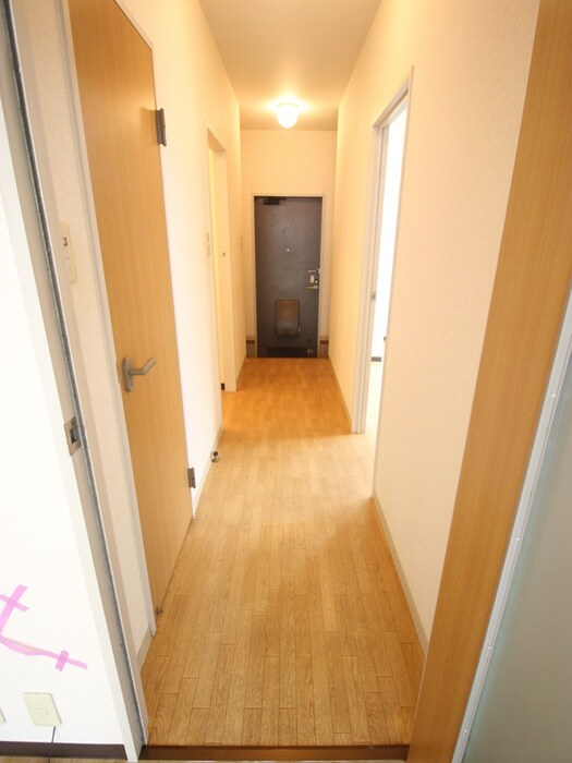 マヨ－ルハイツの物件内観写真