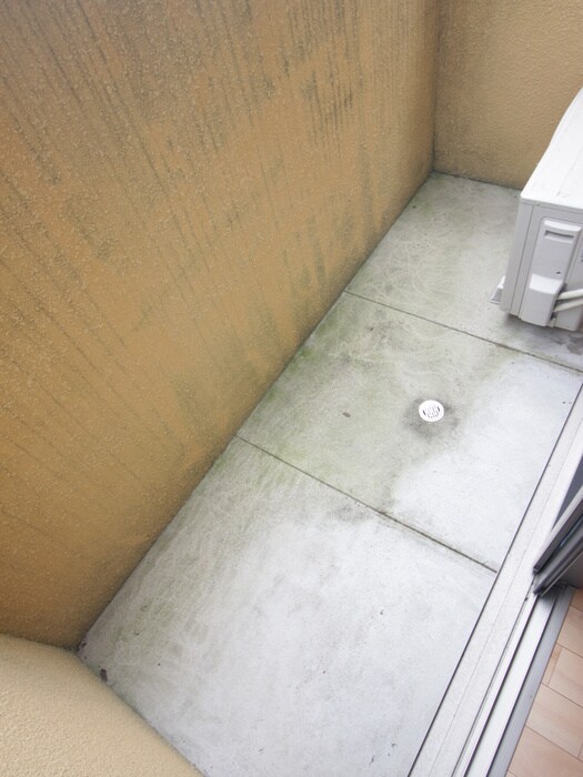 ｍｉｔｙ桂朝日町の物件内観写真