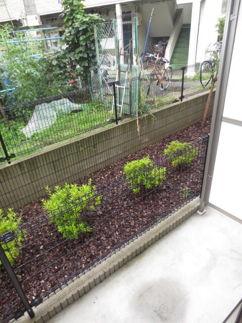 ハ－トハイムの物件内観写真