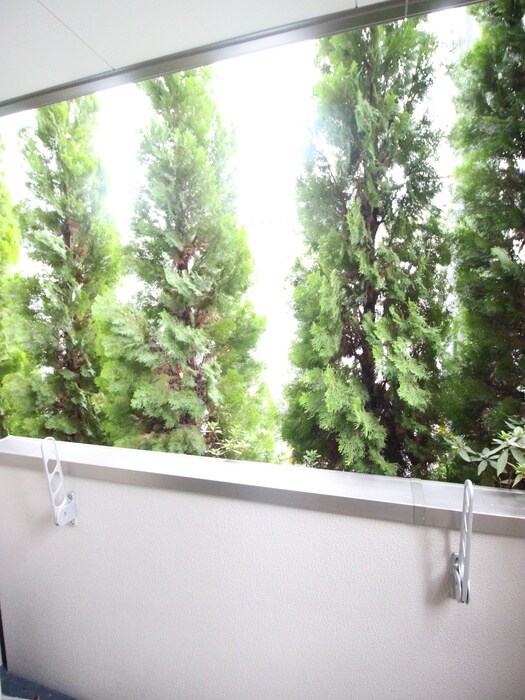 ミサワレジデンス柳田町の物件内観写真