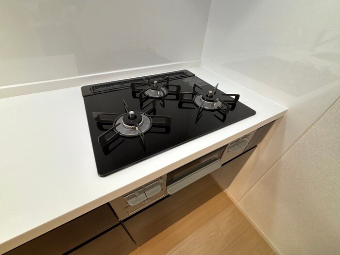 ピュアメゾン美沢の物件内観写真