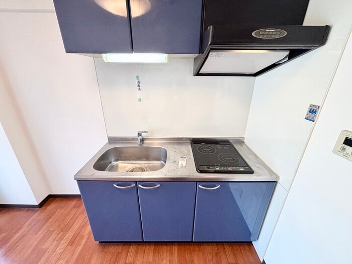 サウスサイド武庫之荘の物件内観写真