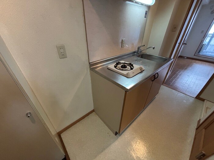 アルティスタ東向日の物件内観写真