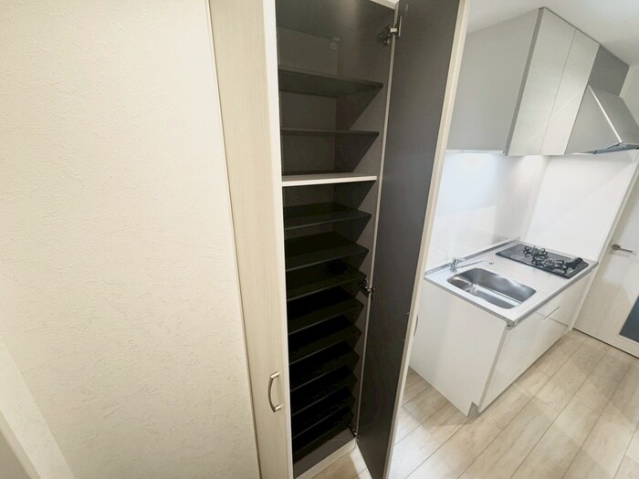 プルメリア阪大前の物件内観写真