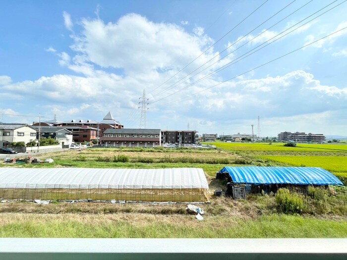 望月コーポの物件内観写真