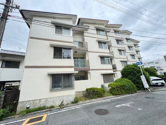 佐井寺ハイツの物件外観写真