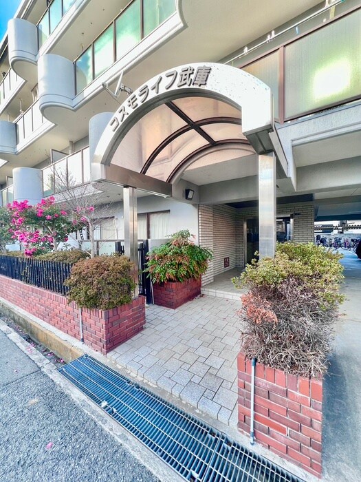 コスモライフの物件外観写真