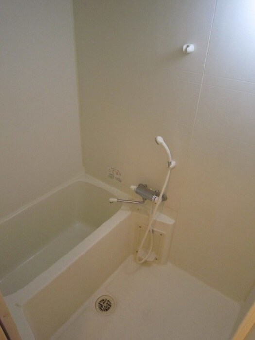 サウス・アルカディアの物件内観写真