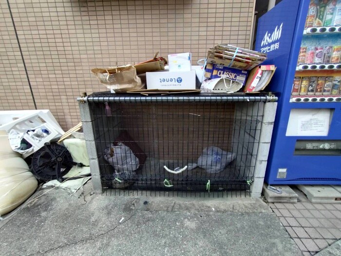 サンライズ末広の物件外観写真