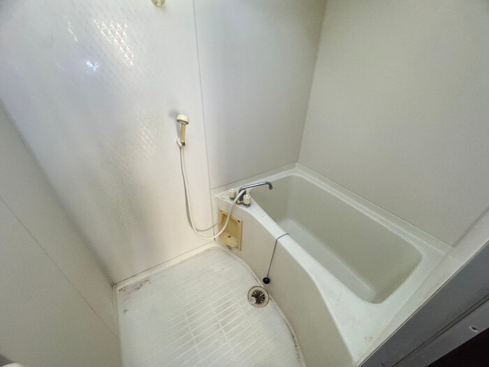 ｾﾗｳﾞｨB棟の物件内観写真