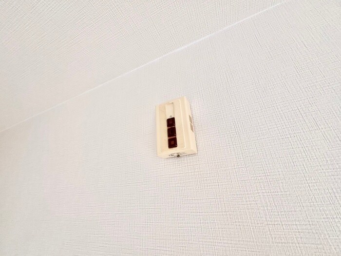 Cherry Blossom Koriの物件内観写真