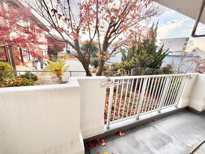 Cherry Blossom Koriの物件内観写真