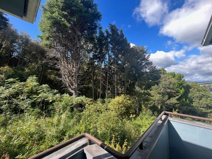 鼓が滝河村邸の物件内観写真