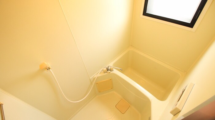 プチＭＩＫＡＧＥ１５１の物件内観写真