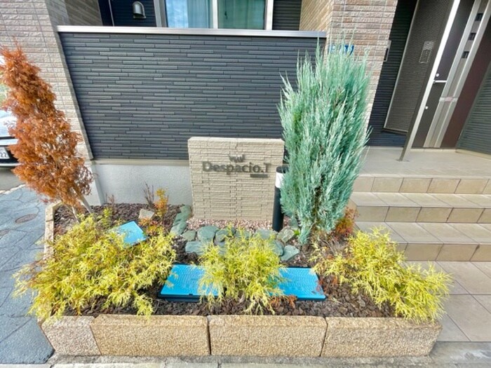 デスパシオの物件外観写真