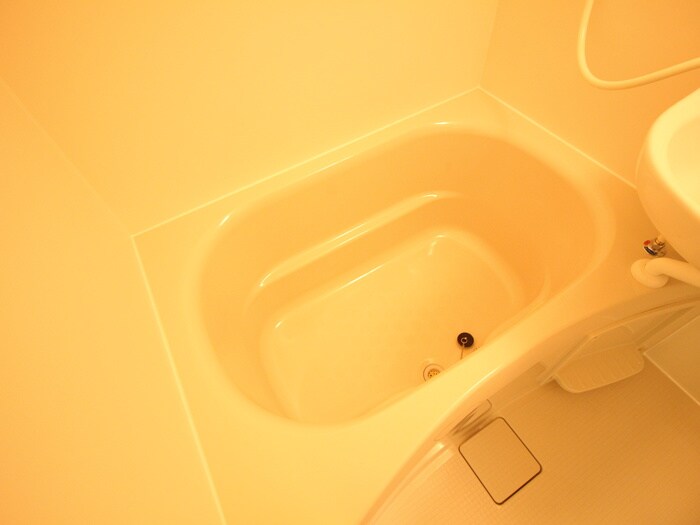 パインハイツの物件内観写真