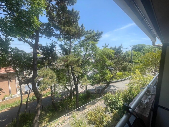 グリ－ンハウス緑地の物件内観写真