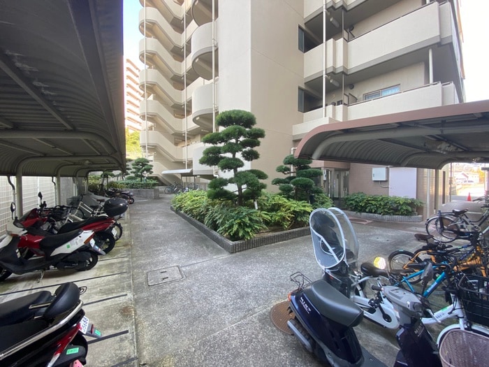 ナーシサス法橋の物件外観写真