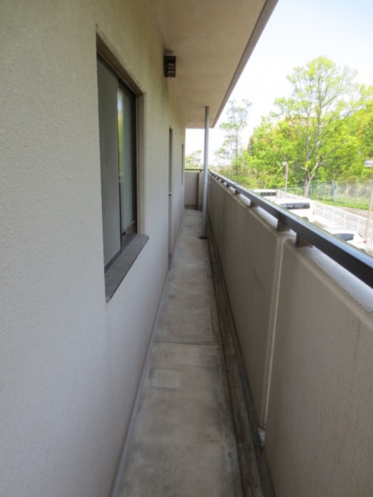 ナーシサス法橋の物件内観写真