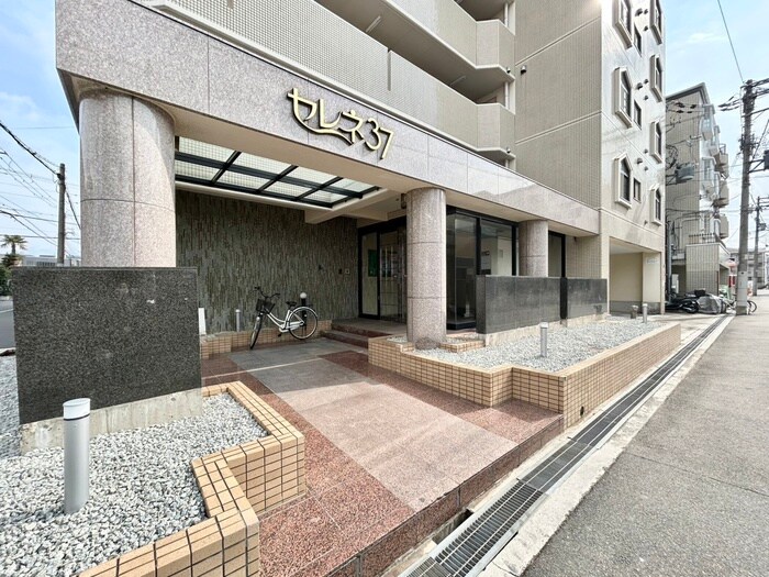 セレネ ３７の物件外観写真