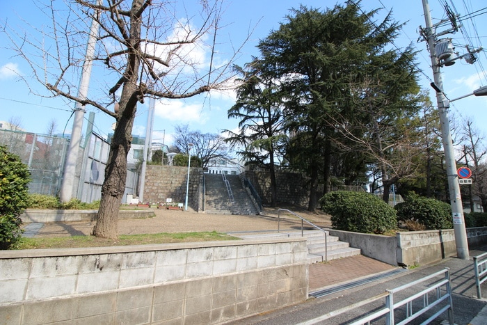 セイワパレス天王寺真田山の物件内観写真