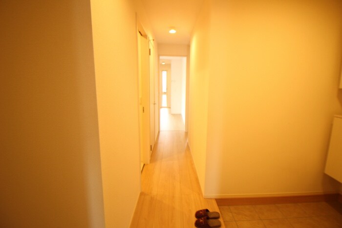 Ｄ-ｒｏｏｍ中州の物件内観写真