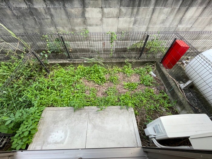 カ－サ・カロの物件内観写真