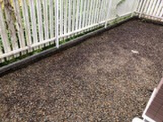 ピュア・コートⅠの物件内観写真