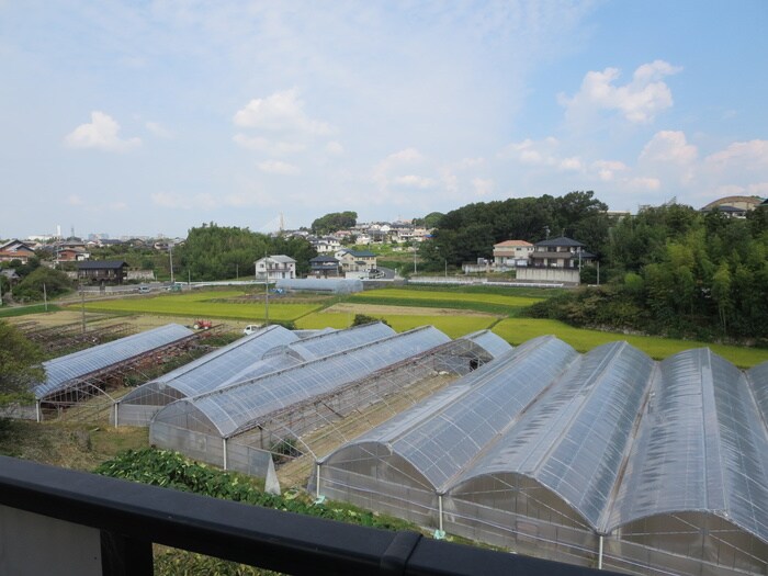 ドミール岩脇Ｃ棟の物件外観写真