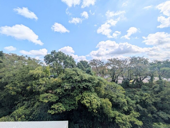 Ｔｓ Ｍａｒｃｈｅｒの物件内観写真