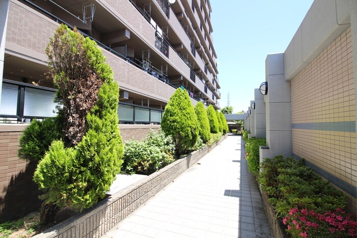 バンベール新生公園(605)の物件外観写真