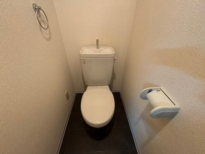 ラ・ヴィアンパレスⅡの物件内観写真