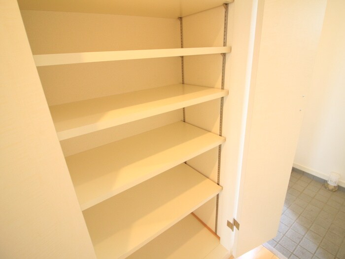 Ｓｔａｒ ｈｅｉｇｈｔｓの物件内観写真