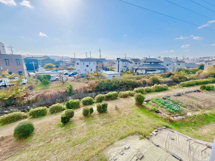 リバーサイドαⅡの物件内観写真