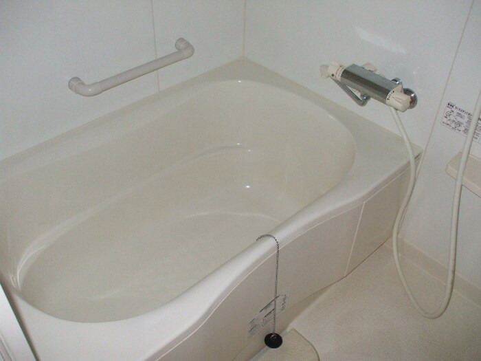 エコロジ－栄レジデンスの物件内観写真