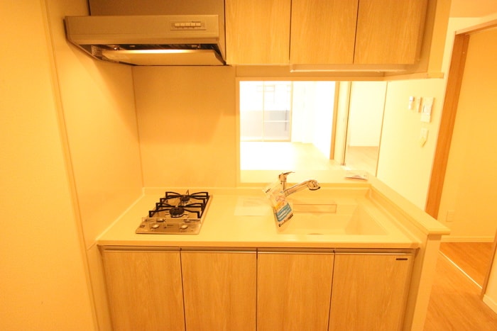 ロイジェント日吉の物件内観写真