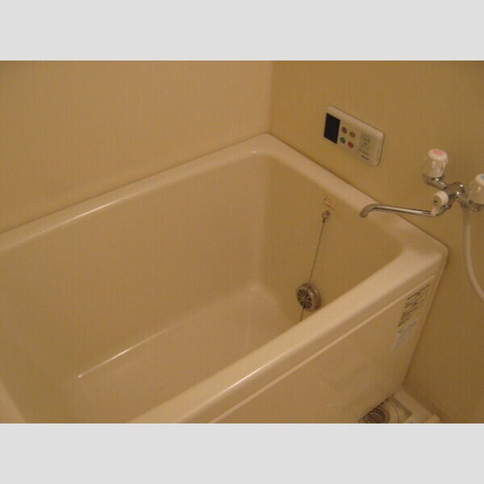 Plumed　Angeの物件内観写真