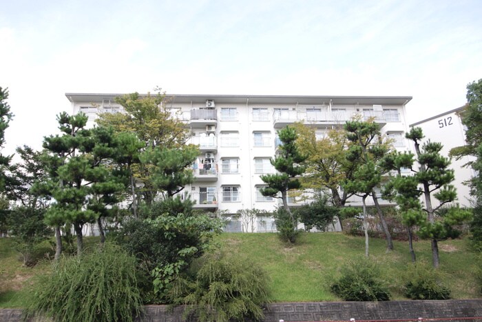 岩成台西団地513号棟(504)の物件外観写真