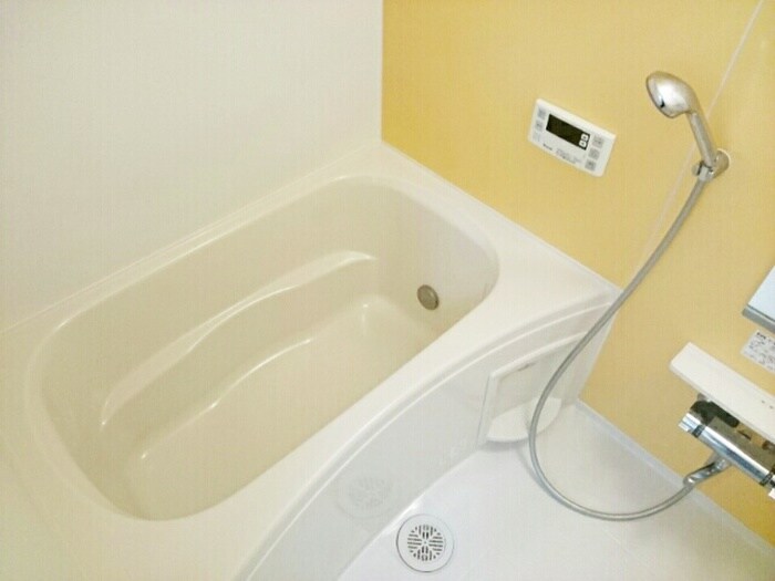 ウィステリアサカキの物件内観写真