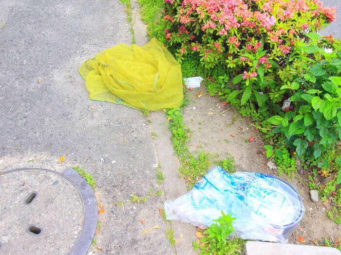 シーズンコート本陣通の物件外観写真