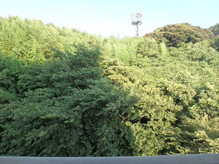 Ｓｕｎ Ｓｔａｔｅ東海の物件内観写真