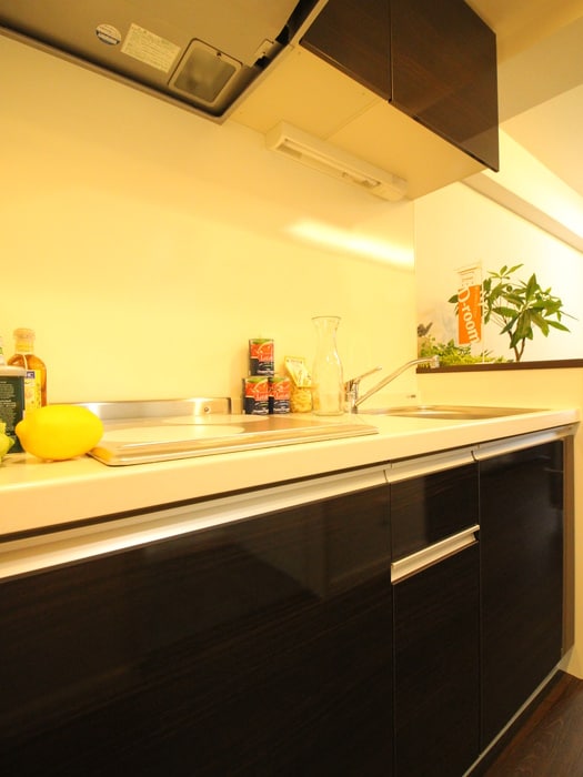 御幸レジデンス丸の内の物件内観写真