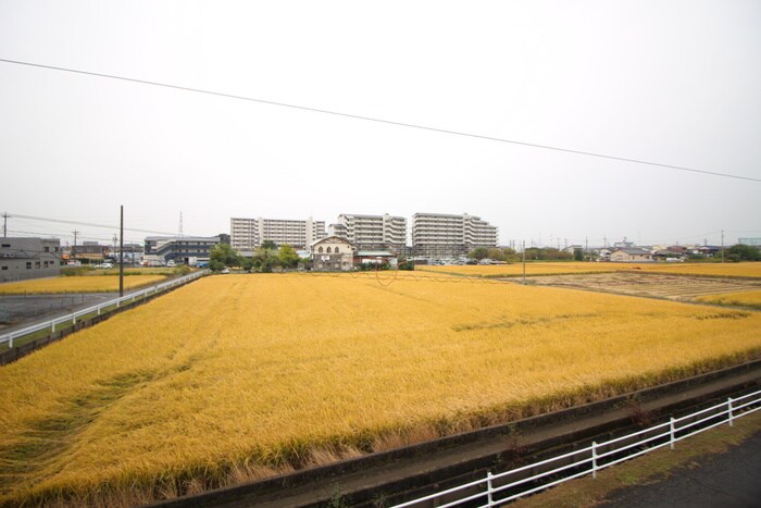 サンローゼⅡの物件内観写真