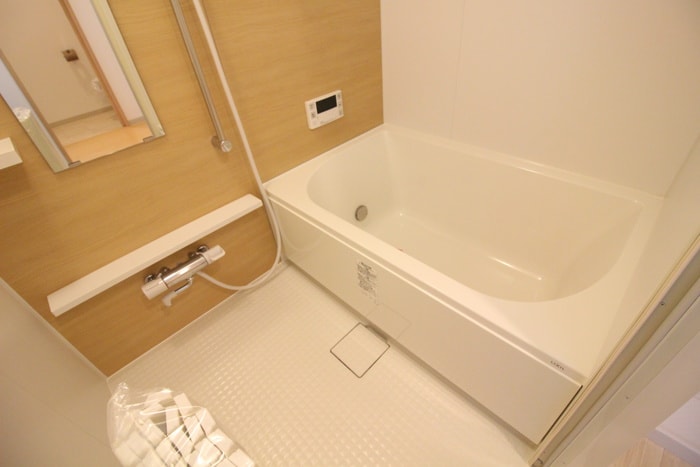 ラヴィータ泉の物件内観写真