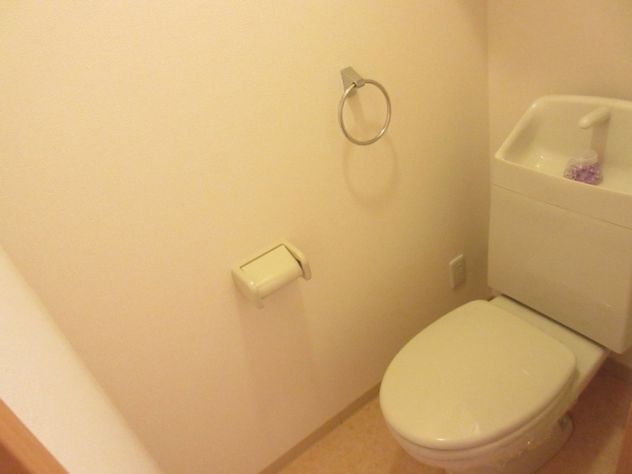 ラピス・ラズリの物件内観写真