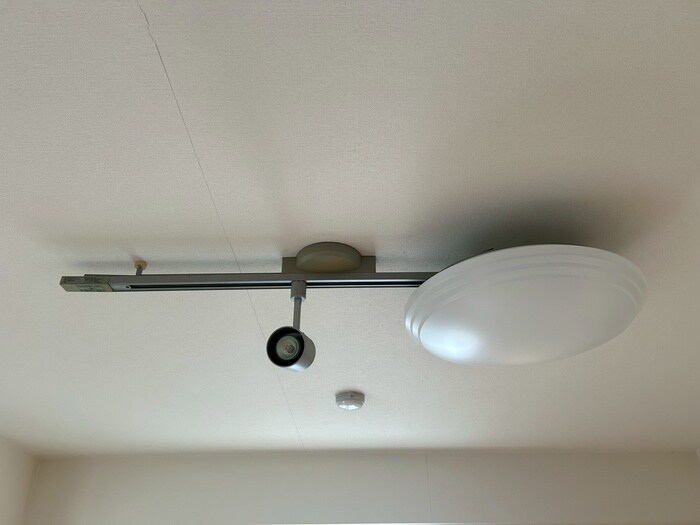 ＴＩＮＹＧＲＯＶＥの物件内観写真