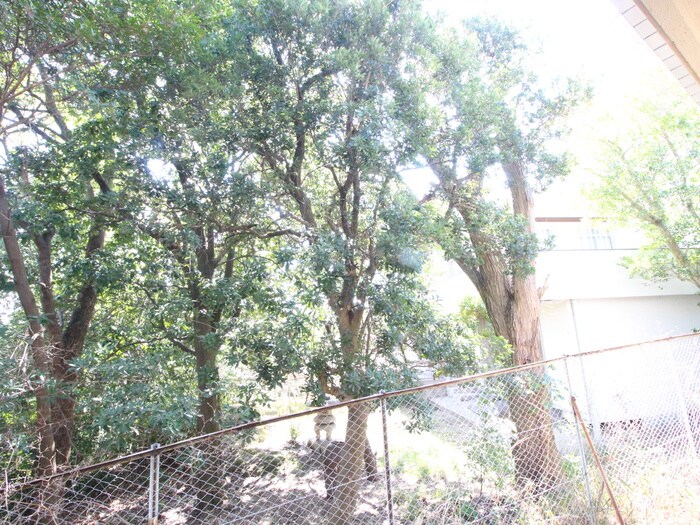 フロ－ラ八幡山の物件内観写真