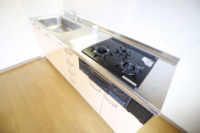 カイラーサアネックスの物件内観写真