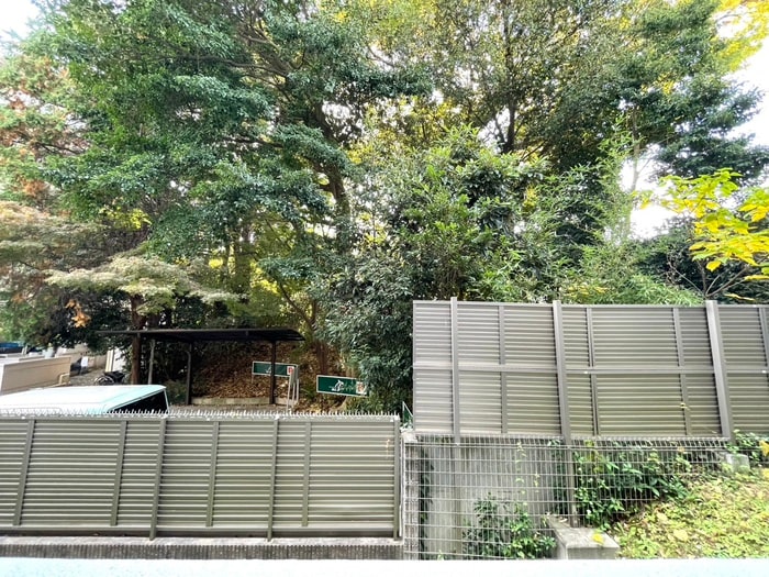 グランテラス八事広路町の物件内観写真