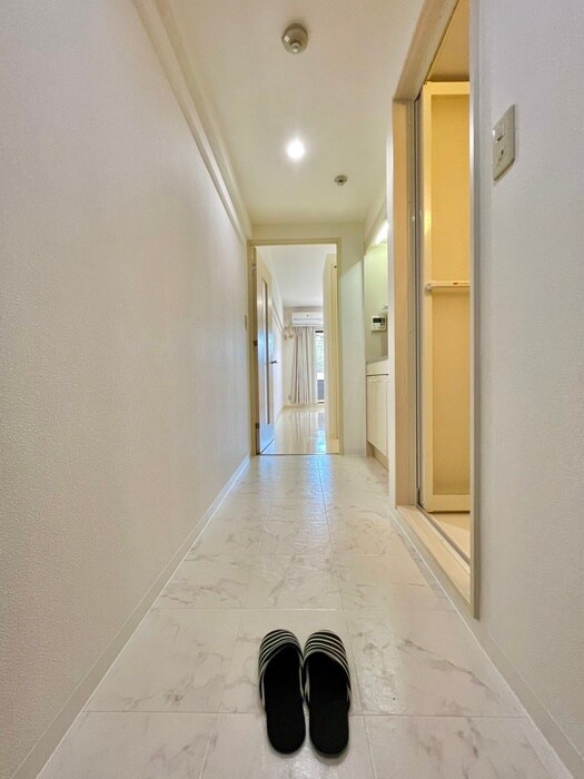 ﾗｲｵﾝｽﾞﾏﾝｼｮﾝ名大ｳｴｽﾄ(205)の物件内観写真